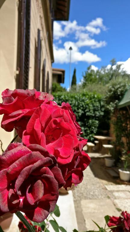 La Chicca B&B Σιένα Εξωτερικό φωτογραφία